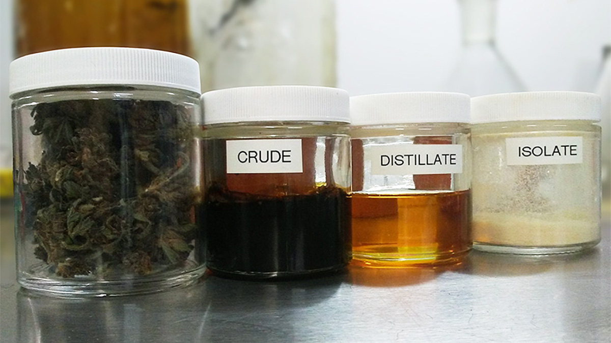 Read more about the article Full Spectrum CBD vs. CBD Isolate: What's the difference?