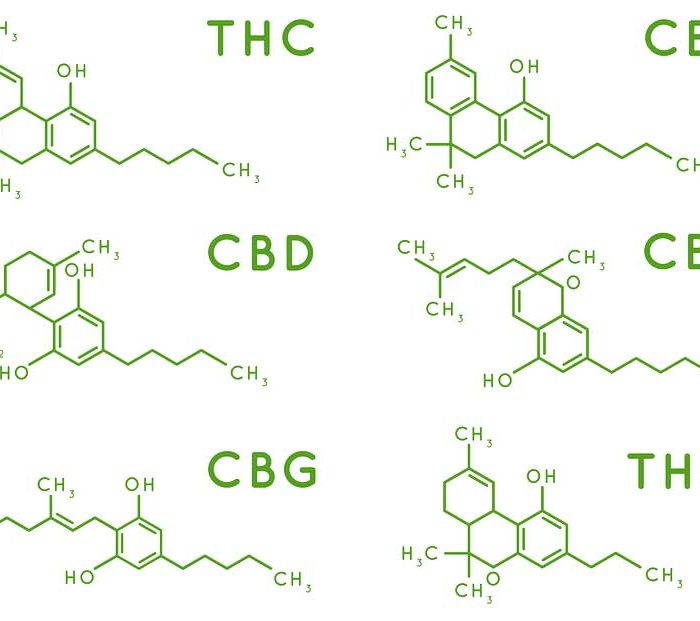 Hemp-Cannabis Plant Compounds