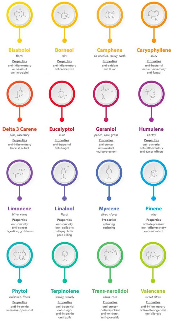 cannabis terpene chart