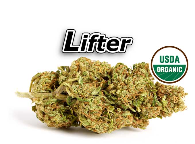 Lifter CBD Flower