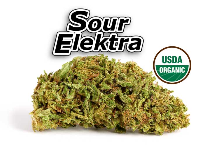 Sour Elektra CBD Flower