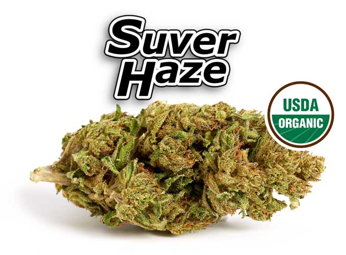 Suver Haze CBD Flower