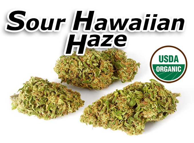 Sour Hawaiian Haze CBD