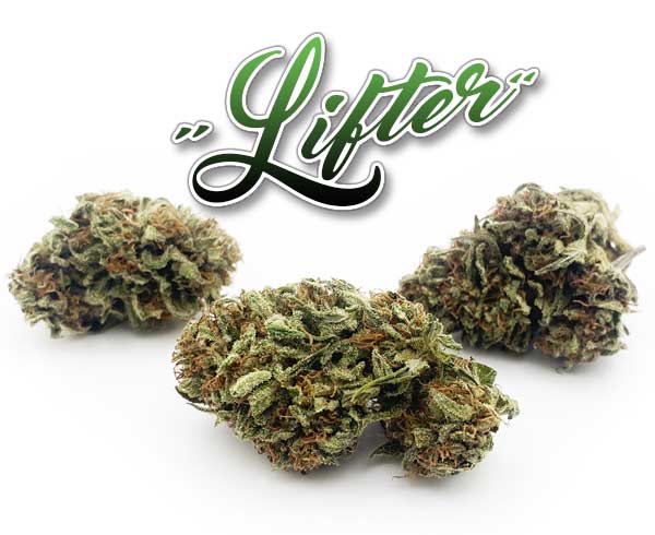 Lifter CBD hemp flower