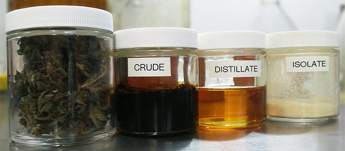 (From left to right) Hemp flower, crude extract, distilled crude, CBD isolate